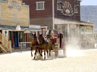 Estas son las experiencias más originales para disfrutar en familia este verano en España, según Aladinia.com